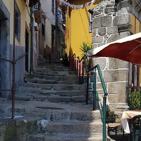 Joli Studio Dans Quartier Typique Gaia\porto ヴィラ・ノヴァ・デ・ガイア